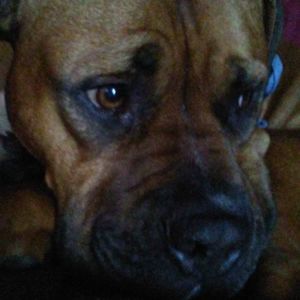 Meet your Posher,Michele